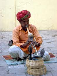 History of snake charmers